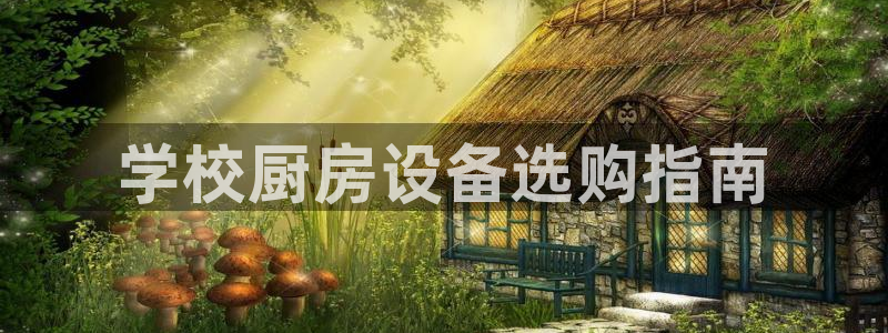 尊龙登录：学校厨房设备选购指南