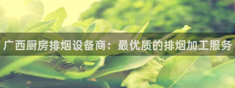 凯时官网手机版下载