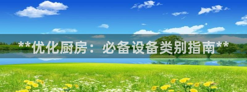 尊龙官方网站最新版V9.3.06：**优化厨房：必备设备类别