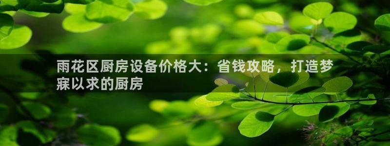 尊龙凯时取款有要求吗：雨花区厨房设备价格大：省钱攻略，打造梦