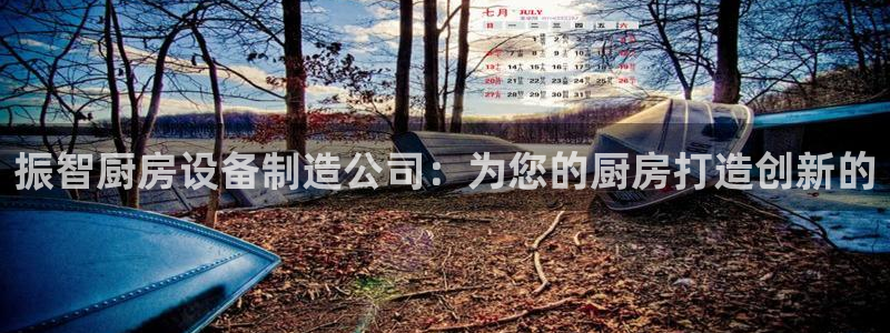 尊龙凯时网娱乐官网：振智厨房设备制造公司：为您的厨房打造创新