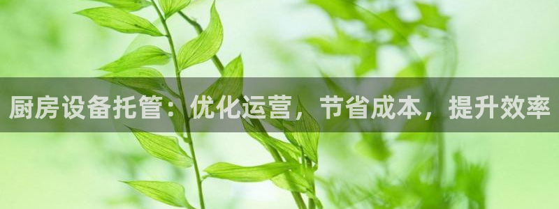 尊龙凯时人生就是博游戏网站：厨房设备托管：优化运营，节省成本