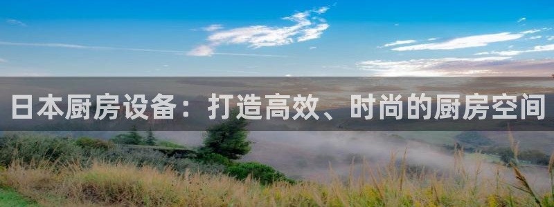 凯时尊龙app国际官方网站：日本厨房设备：打造高效、时尚的厨